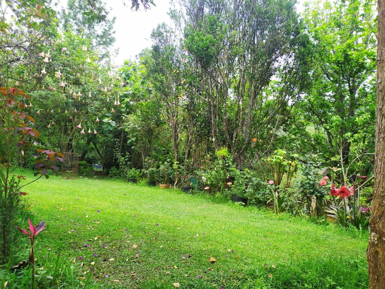 Pear Tree Entire 2Bhk Villa Kotagiri Exterior photo